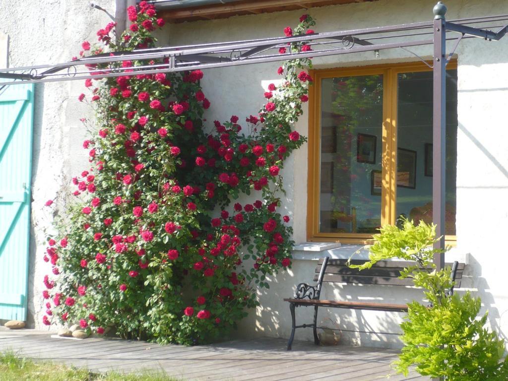 Les Garennes Hotel Saint-Uze Bagian luar foto